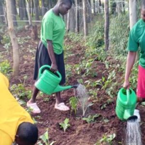 Education Promotion and Girl Child Support