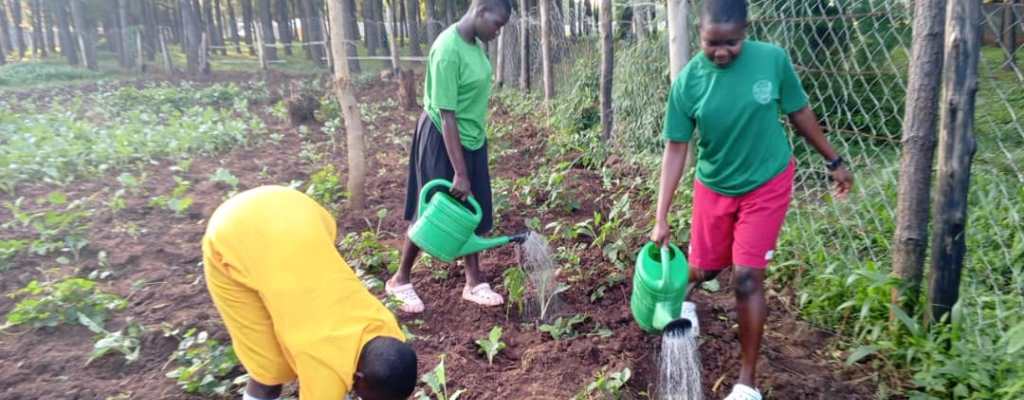 Education Promotion and Girl Child Support