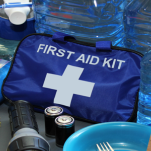 Health and Emergency Response Programme