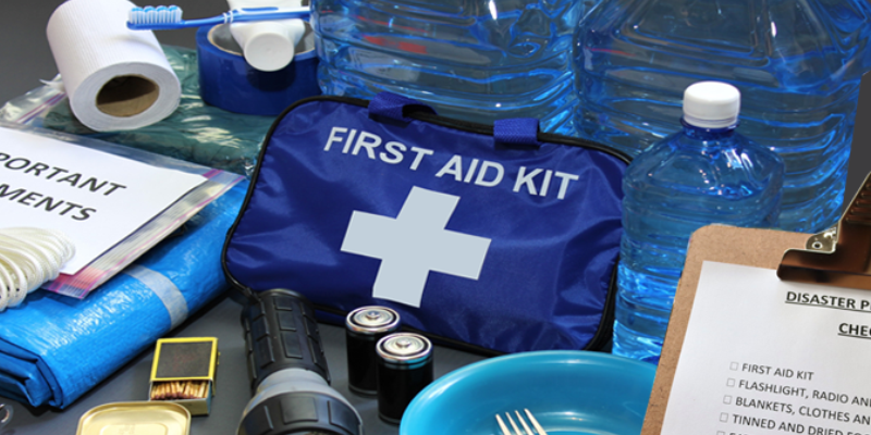 Health and Emergency Response Programme