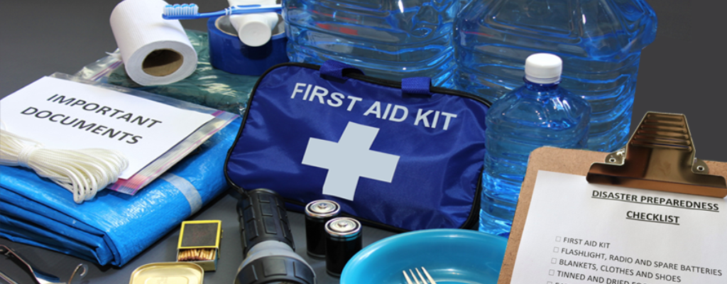 Health and Emergency Response Programme