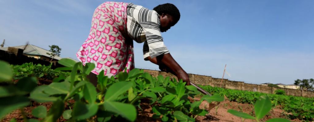 Livelihood Projects and Socio-Economic Services